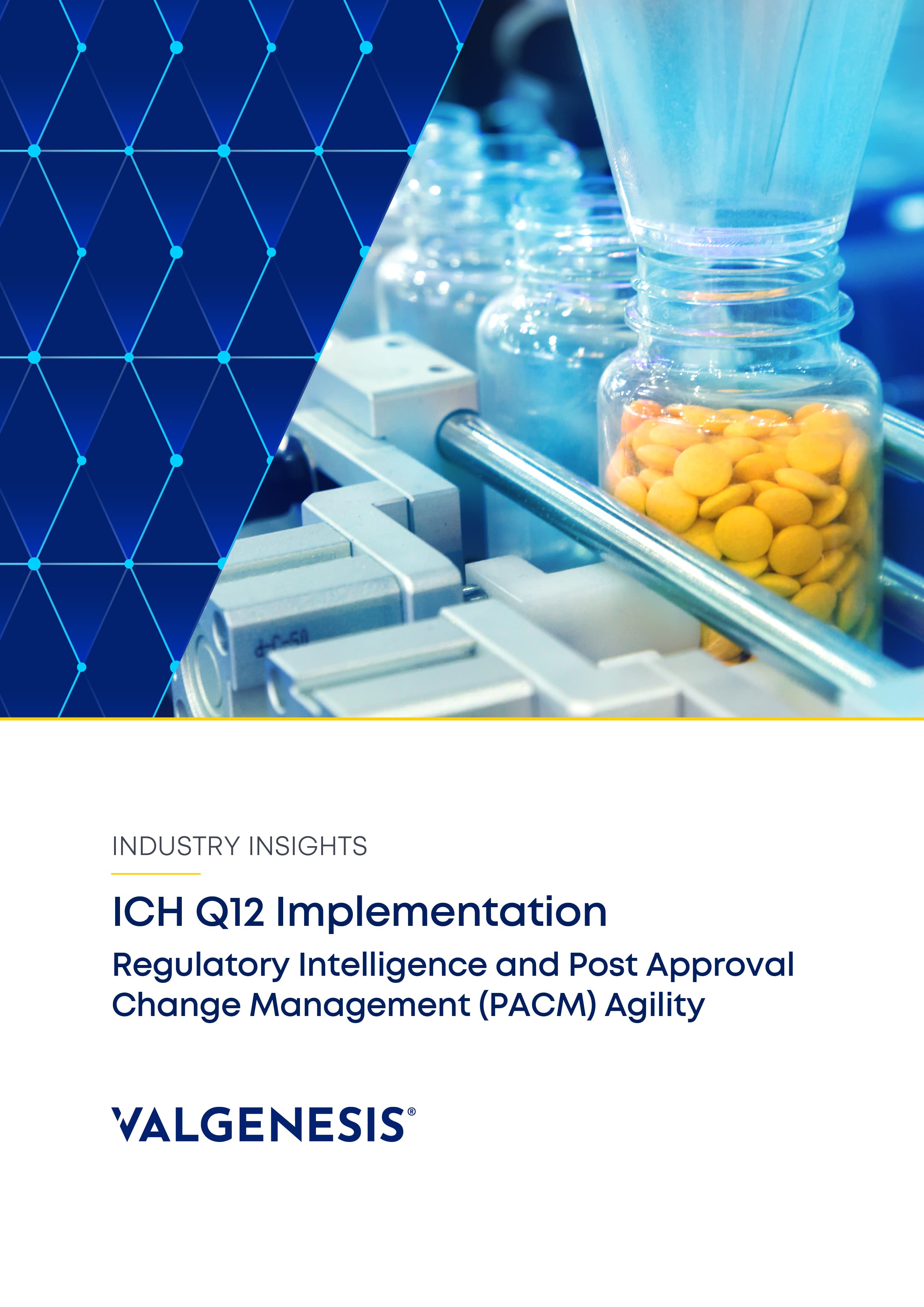 Industry Insight: ICH Q12 Implementation